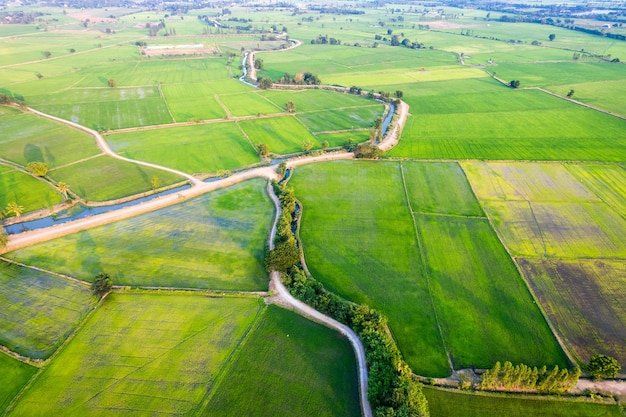 Agriculture Land For Sell